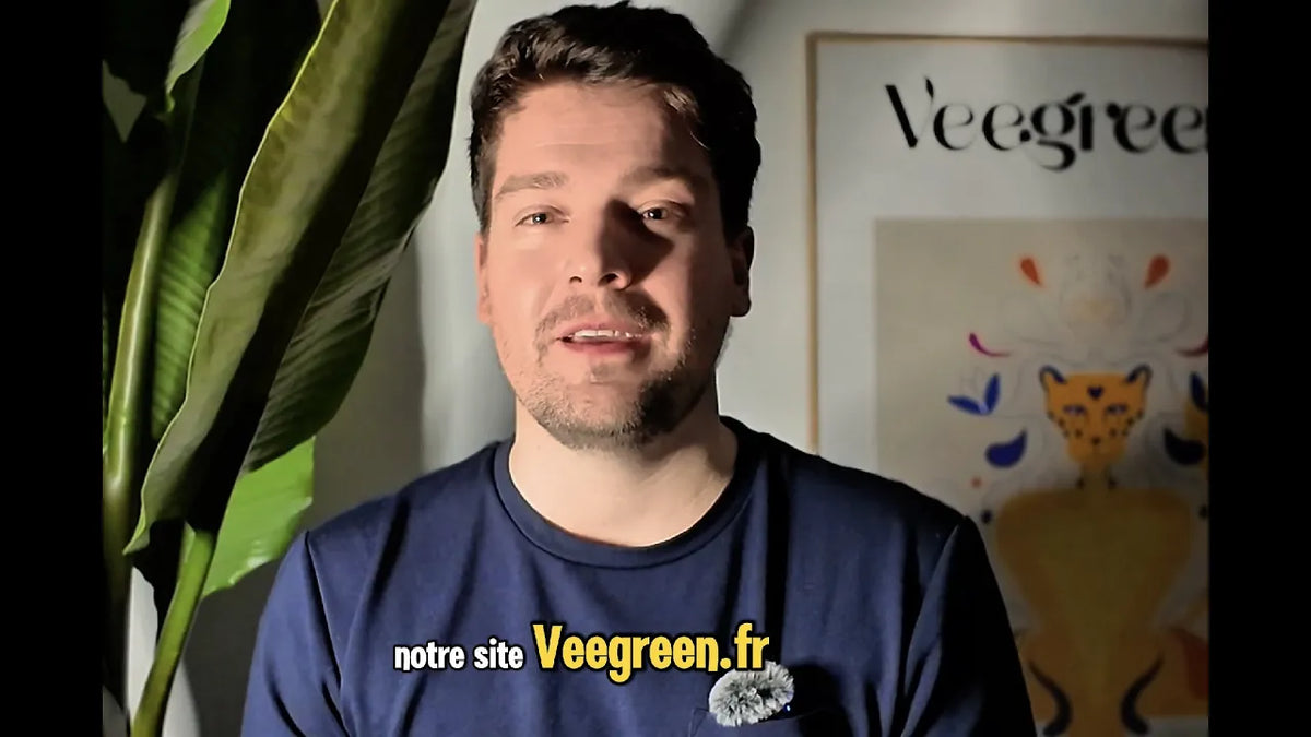 Carica video: