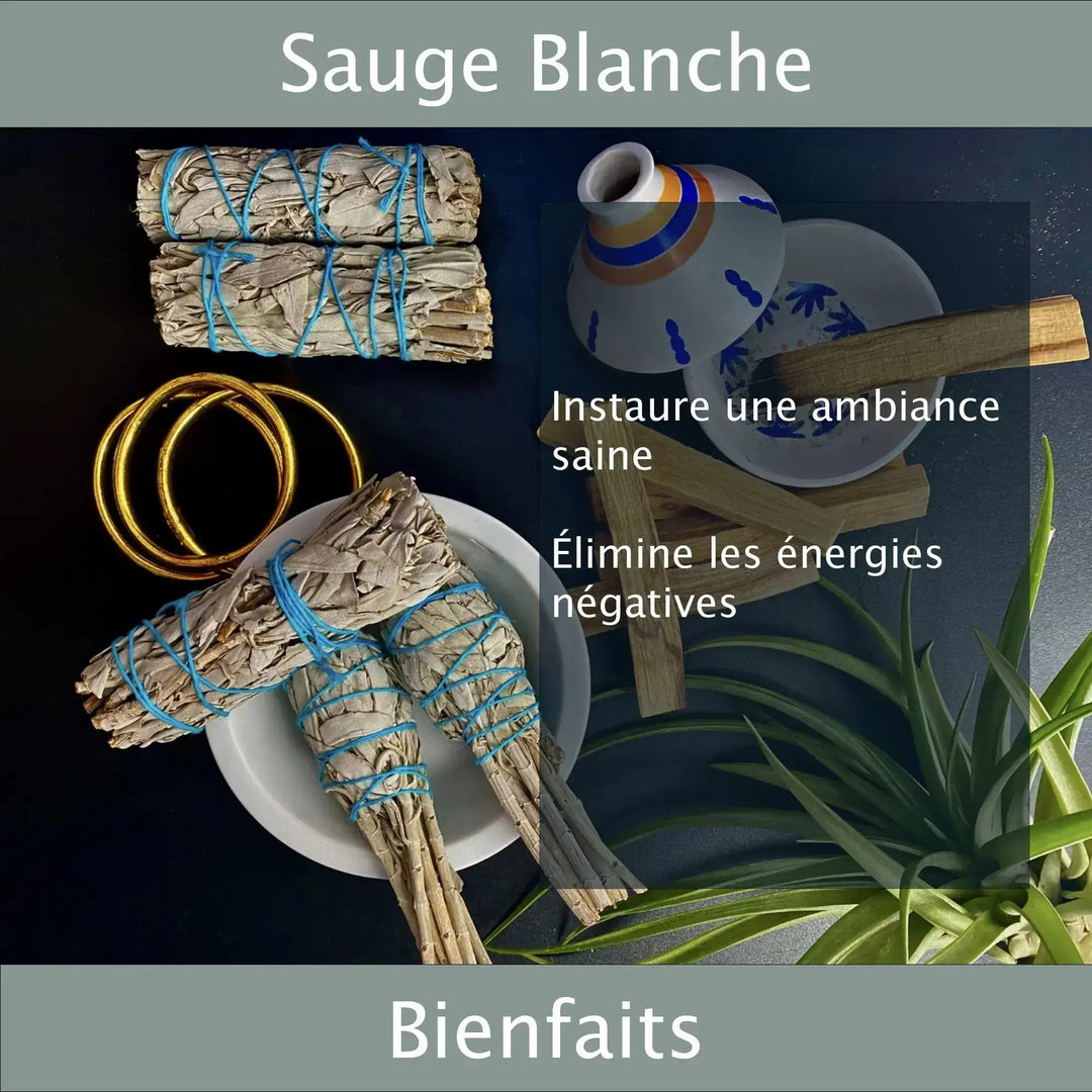 Sauge Blanche Ambiance Saine
