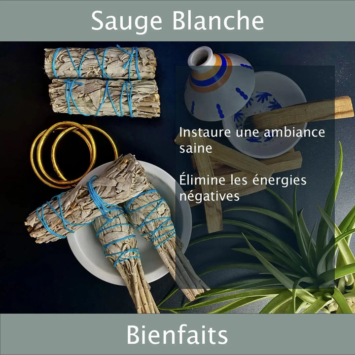 Sauge Blanche Ambiance Saine