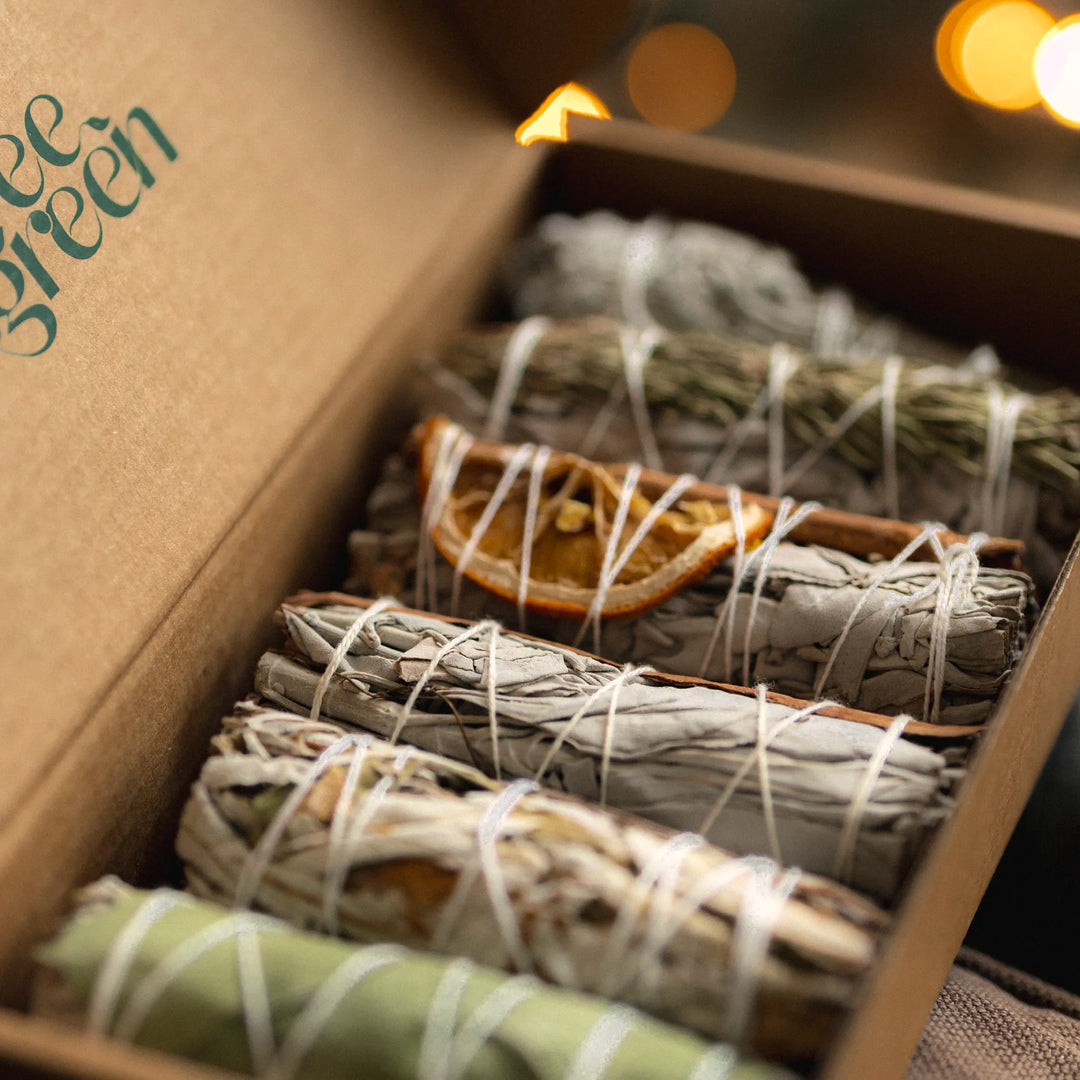 Salvia bianca e lavanda