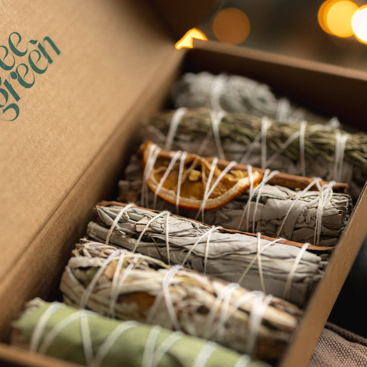 Salvia bianca e lavanda