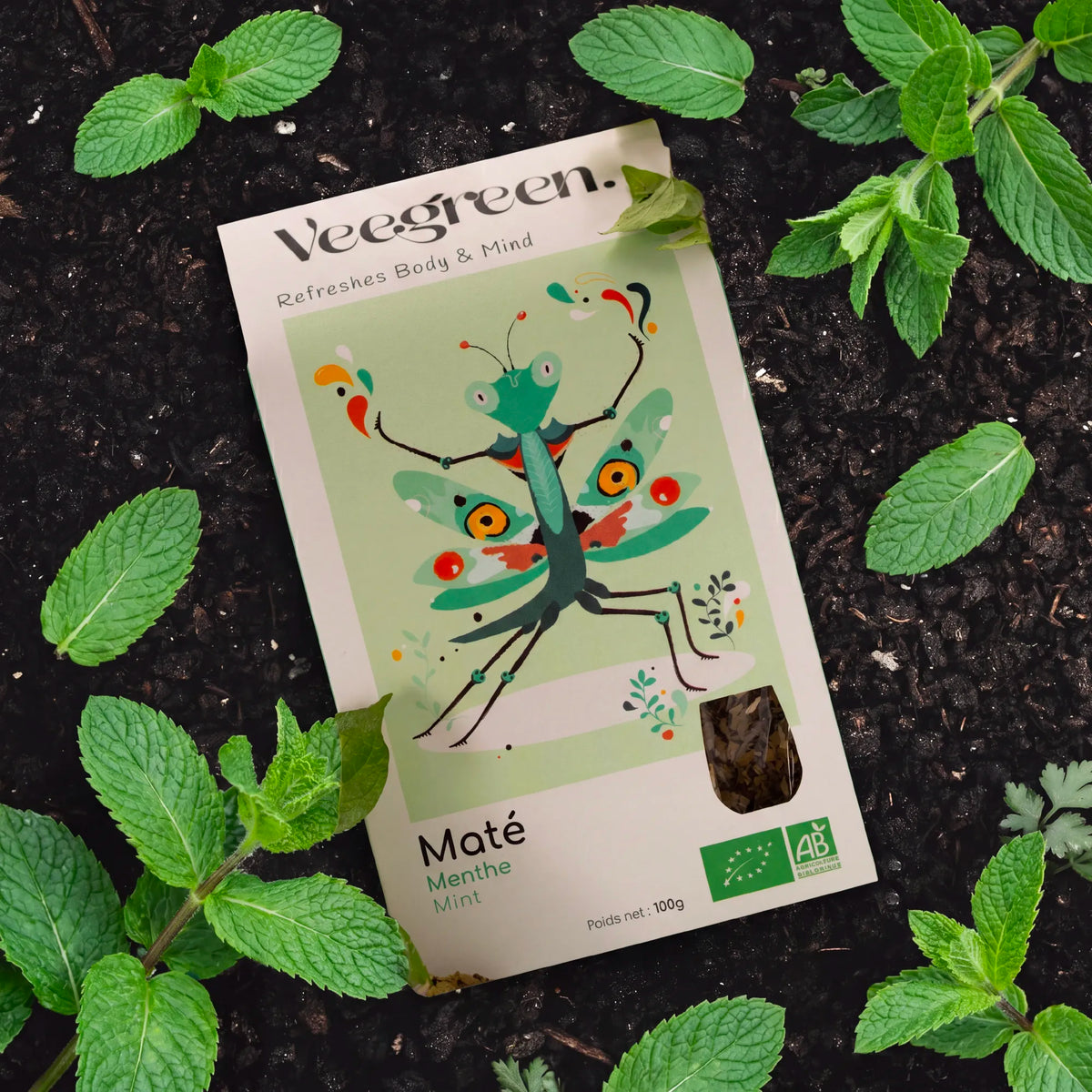 Maté Menta Biologico - Infuso