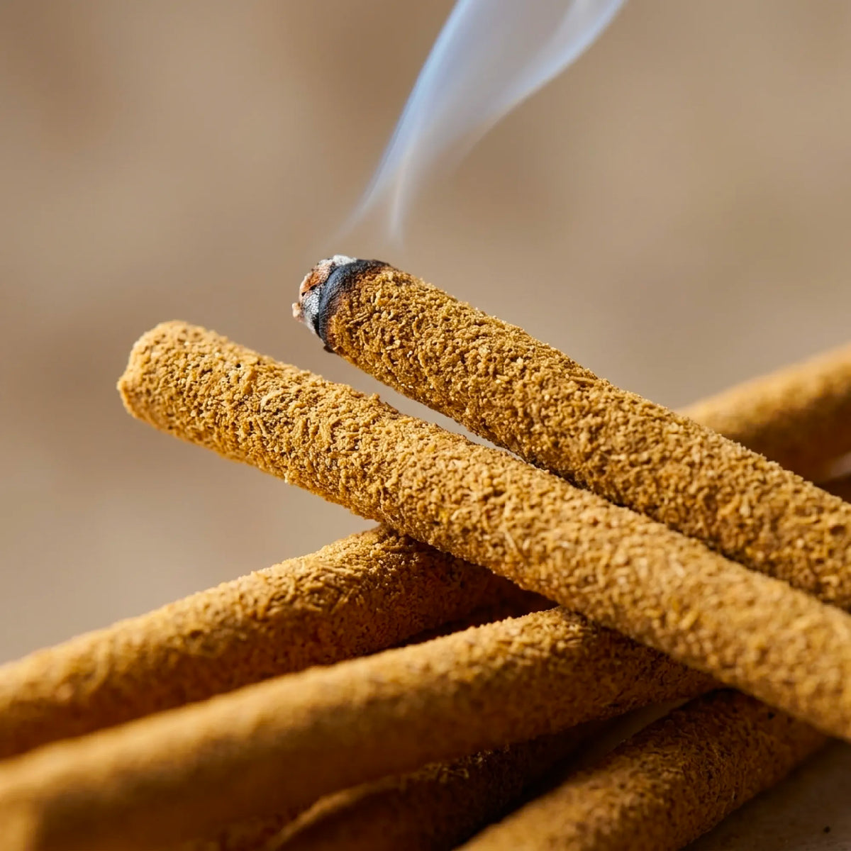 Incenso Palo Santo Spesso ideale per l'esterno x5