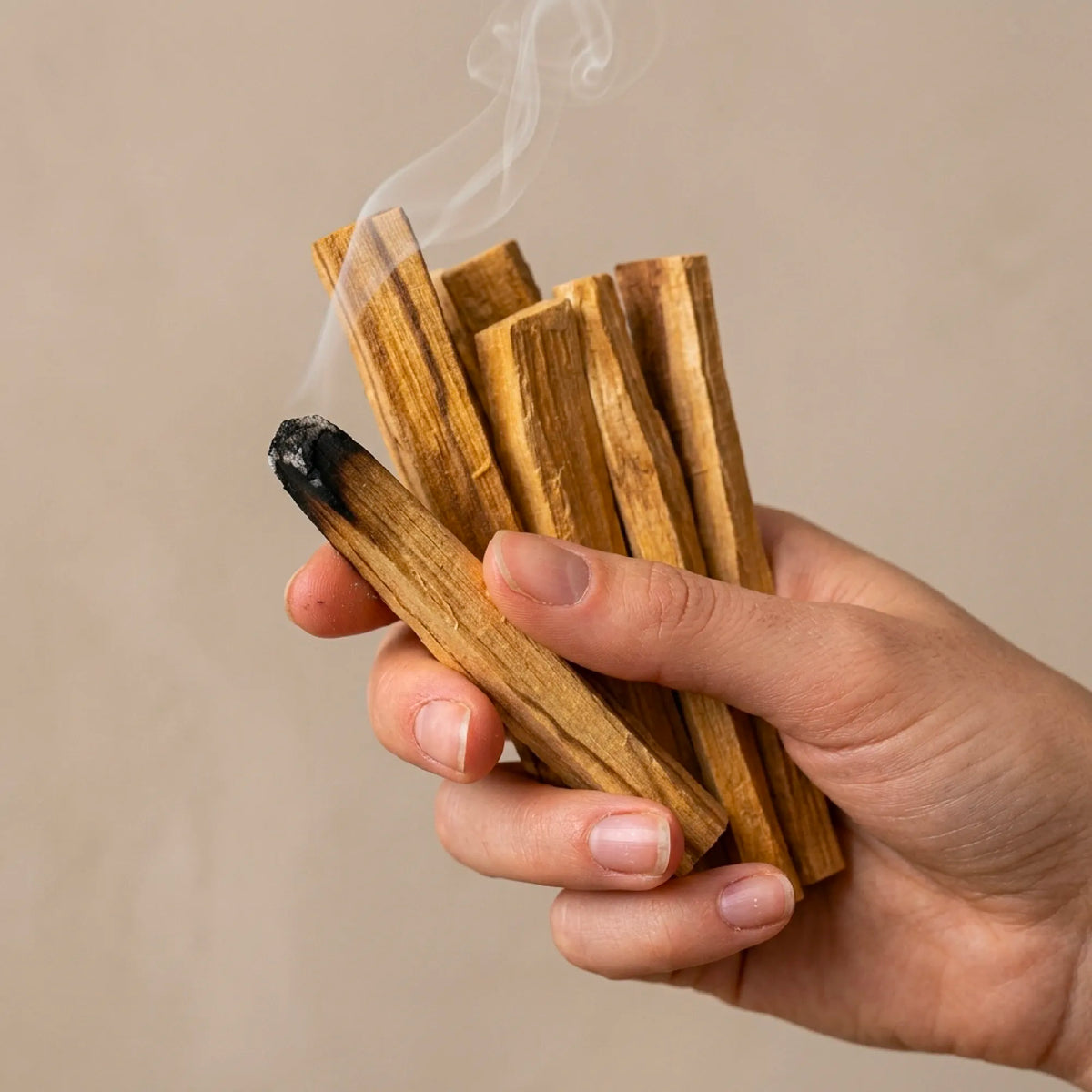 Cofanetto legno di Palo Santo – 150g + Guida