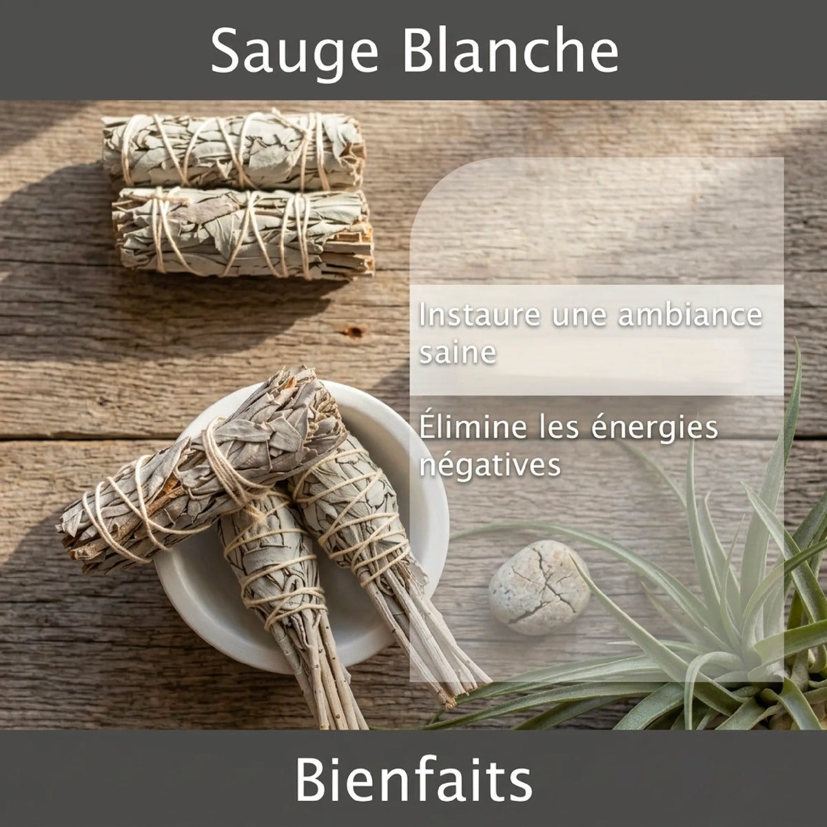 White Sage Gift Set - Purification