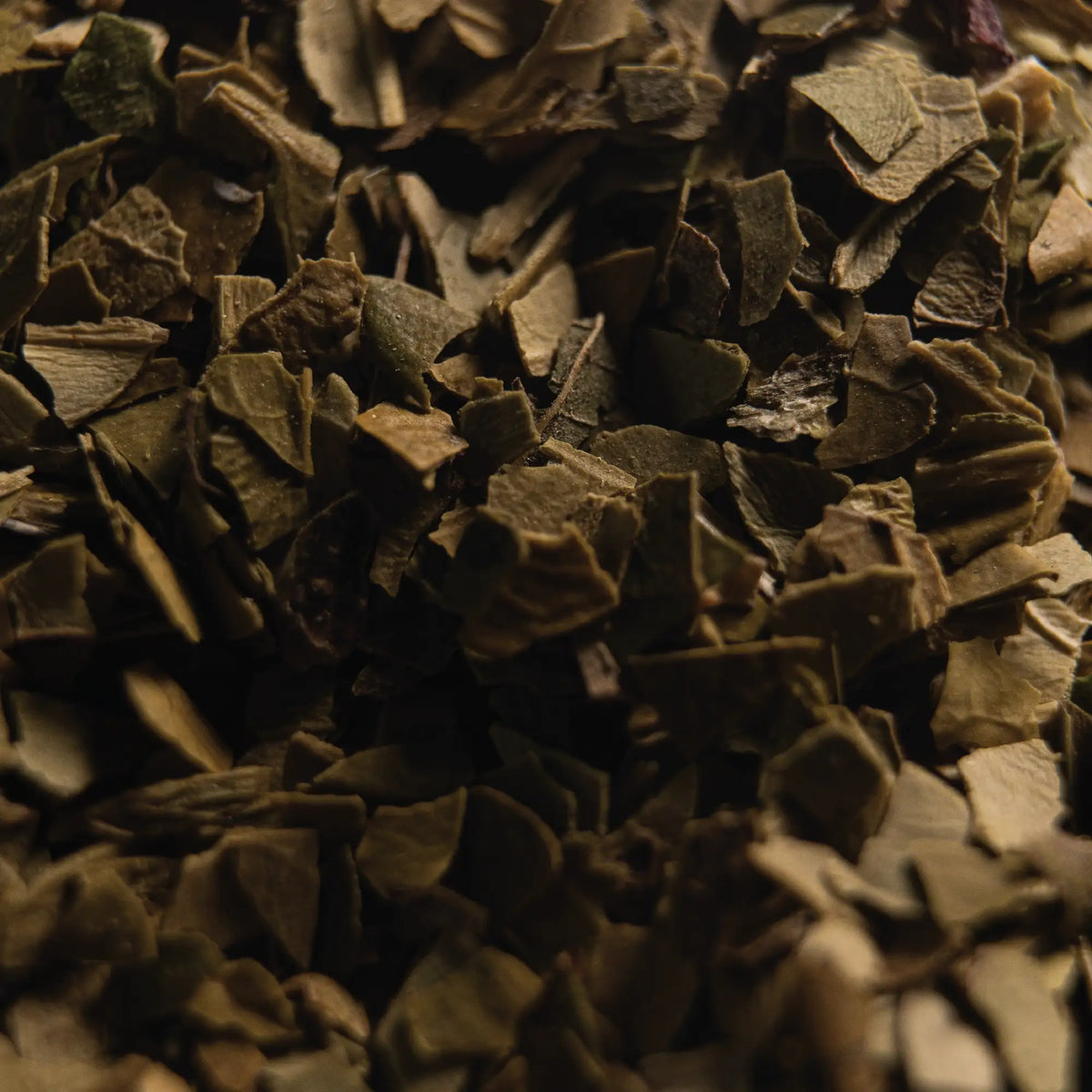 Yerba Mate Verde Biologico - Infusione