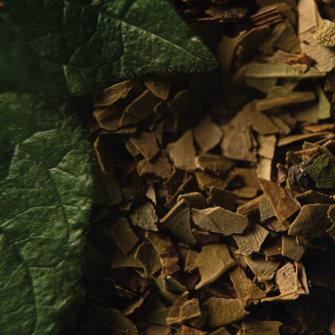 Maté Menthe Biologique - Infusion