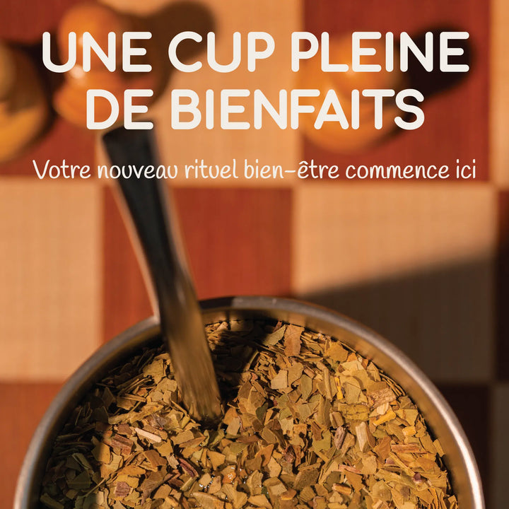 Scatola di degustazione del kit maté