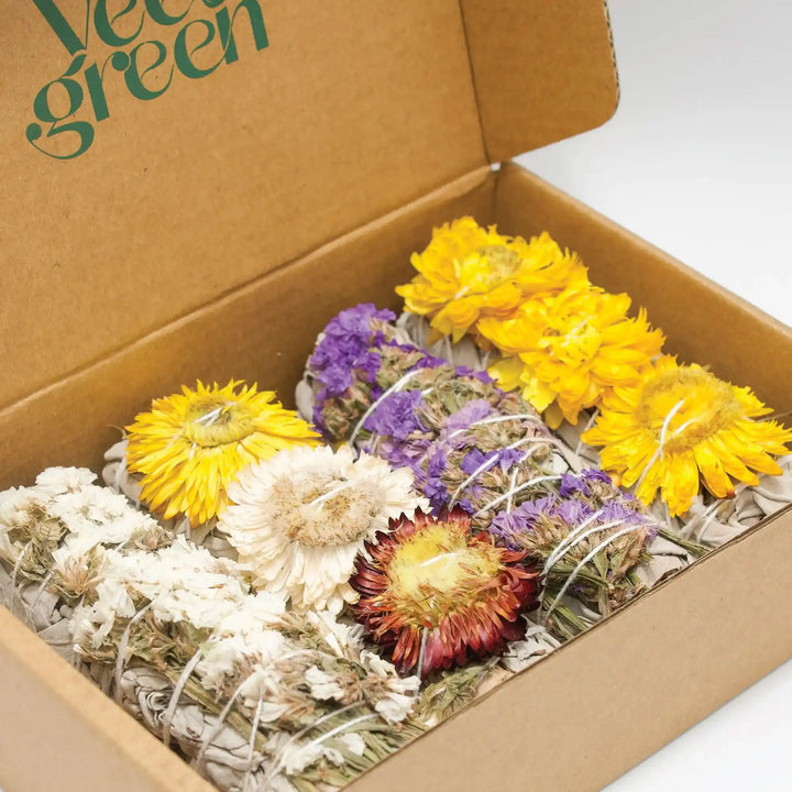 Salvia bianca e lavanda