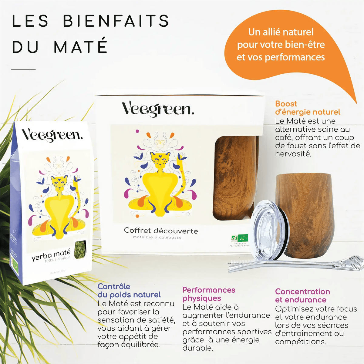 Vertus feuilles thé Yerba Mate organique